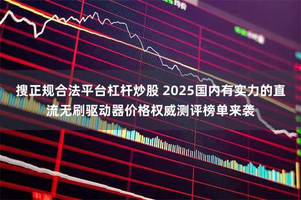 搜正规合法平台杠杆炒股 2025国内有实力的直流无刷驱动器价格权威测评榜单来袭