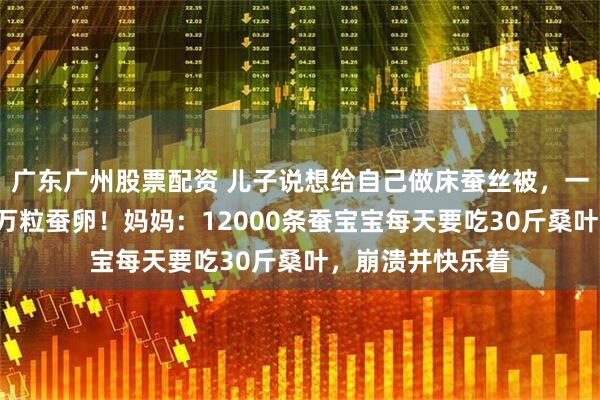 广东广州股票配资 儿子说想给自己做床蚕丝被，一家三口网购了1万粒蚕卵！妈妈：12000条蚕宝宝每天要吃30斤桑叶，崩溃并快乐着