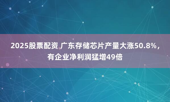 2025股票配资 广东存储芯片产量大涨50.8%，有企业净利润猛增49倍