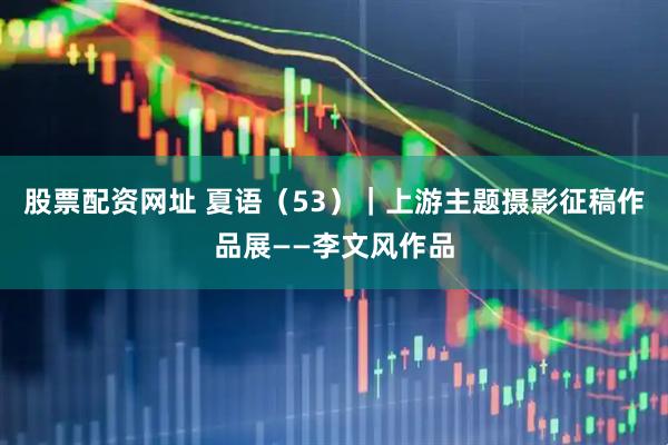 股票配资网址 夏语(53)|上游主题摄影征稿作品展——李文风作品